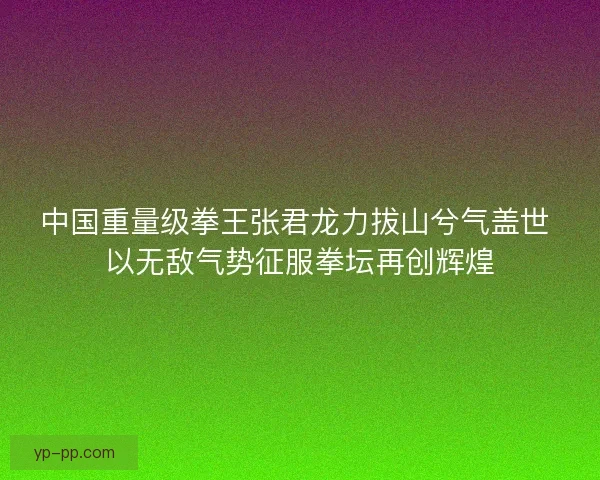 中国重量级拳王张君龙力拔山兮气盖世 以无敌气势征服拳坛再创辉煌